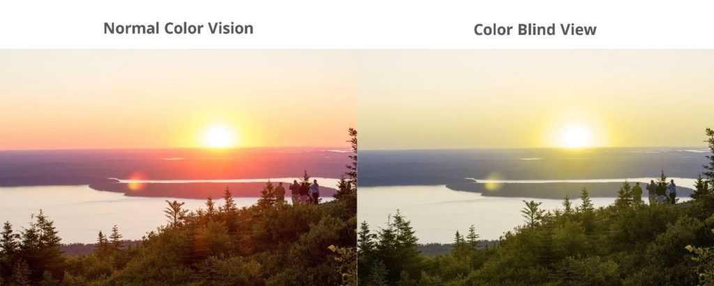 EnChroma Partners with SeeCoast on Color Blind Scenic Viewers